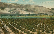 Foothills Orange Grove Postcard Divided Stamped 1910s Long Beach Cancellation 