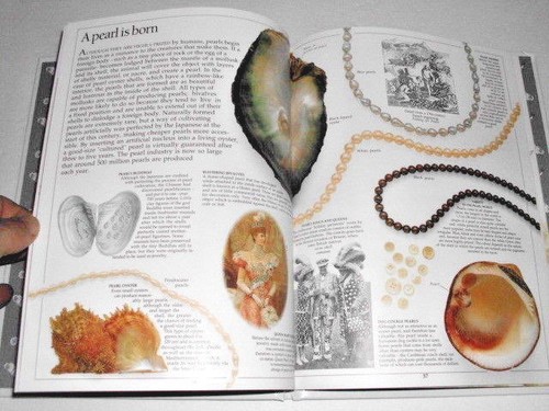 EYEWITNESS BOOKS : SHELL - Imagen 9 de 12