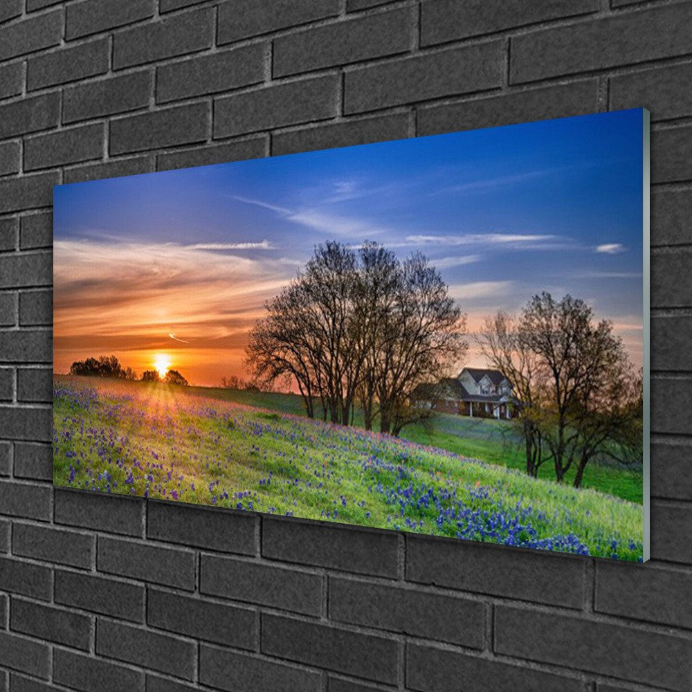 Image sur verre 100x50 cm paysage de prairie ensoleillee pour salon zen