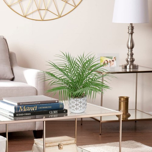 Plantas artificiales grandes en maceta plantas de palma falsas 16" imitación verde planta plástico... - Imagen 7 de 8