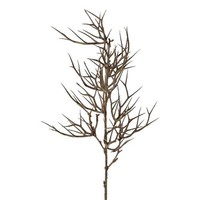 Artplants KüNstlicher Zweig Christusdorn Sproli, Braun, 70Cm