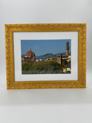 View of Florence from Palazzo Pitti