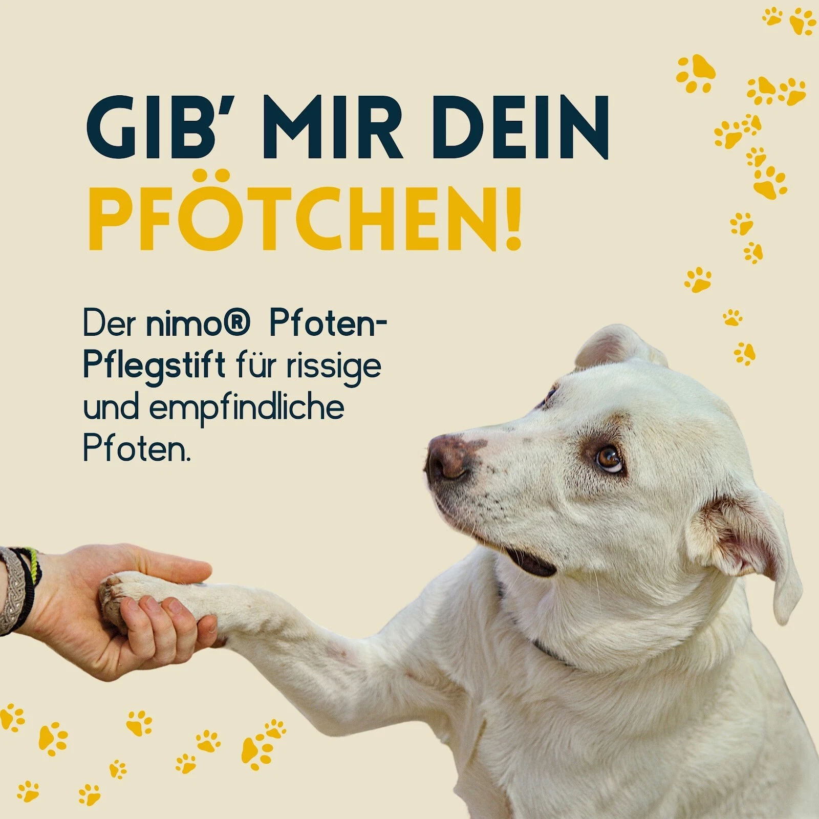 Bild 2 von 6