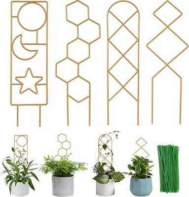 indoor plant cage Vego Garden Self-Watering Tomato Planter with Trellis main image 0