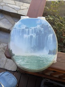 Scenic Toilet Seat