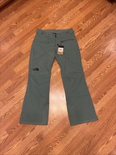 The North Face Women s Reg L Freedom Stretch Snow Pants Dark Sage NF0A7WYN10F