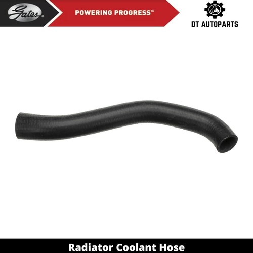 For 2015-2019 Ford Transit-250 Radiator Coolant Hose Upper Gates 2016 ...
