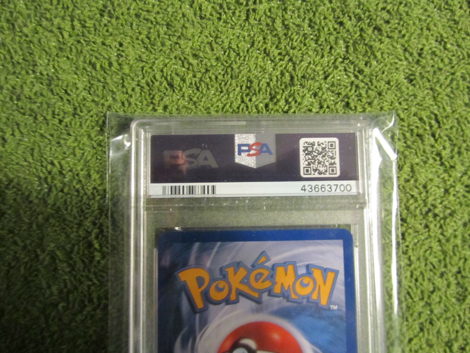 Picture 6 of 9
