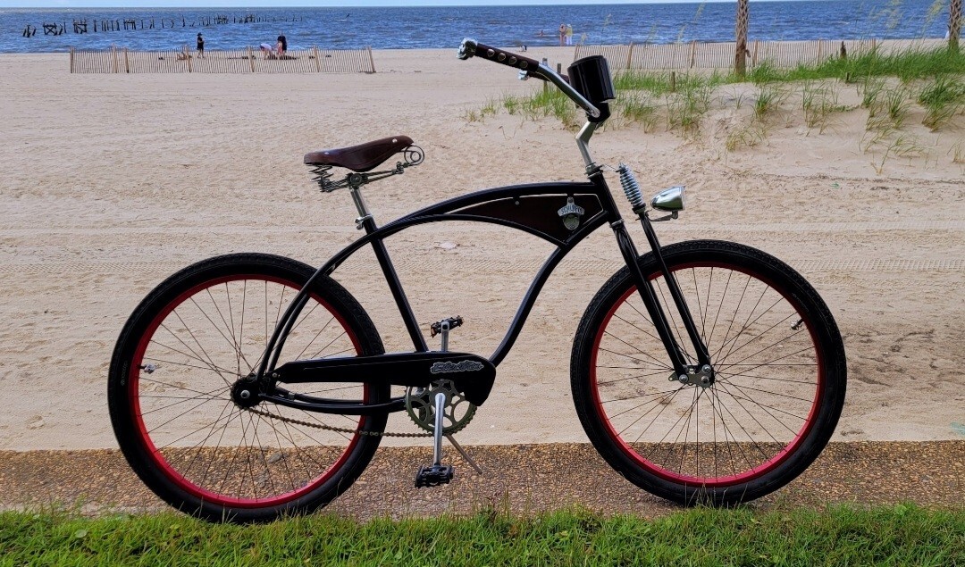 syndrom svært Jurassic Park Custom Electra Beach Cruiser Bicycle | eBay