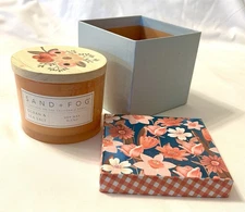 Sand and Fog  Home Ocean & Sea Salt Scent  SOY Wax Blend 12 OZ  NEW  (F185)