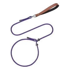 Slip Lead Dog Leash for Puppy Small Dogs Training and Walking Nylon Rope Leash