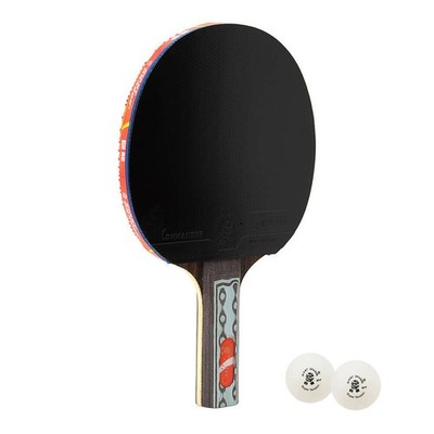 Giant Dragon Tischtennisschläger 9 Sterne ITTF Set + 2 Bälle Tasche Ping Pong