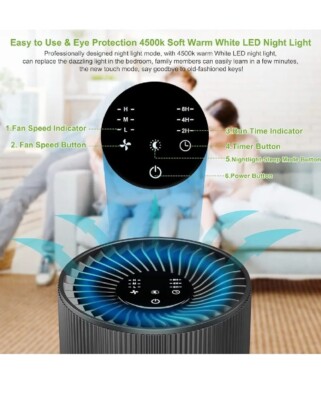 hepa filter for cigarette smoke The 5 Best Air Purifiers of 2026, Tested by BHG its sleek and modern design makes the Airpura 600 Series Air Purifier a perfect complement to any home or office. Smoke Trap + | Personal