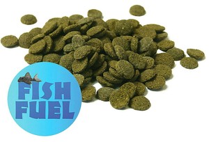 Fish Fuel Mini Algae Wafers Bottom Feeding Tropical Fish Pleco