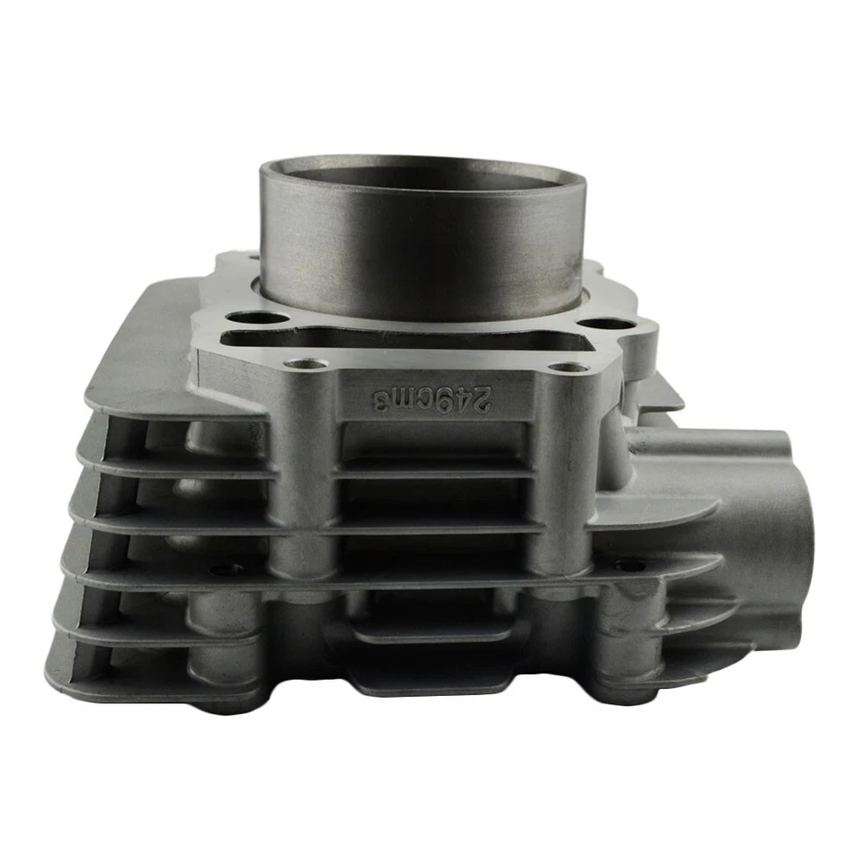 Para Yamaha XT250 2008-2022 RAPTOR 250 YFM250R 2008-2013 cilindro barril STD 74mm Foto 4 de 4