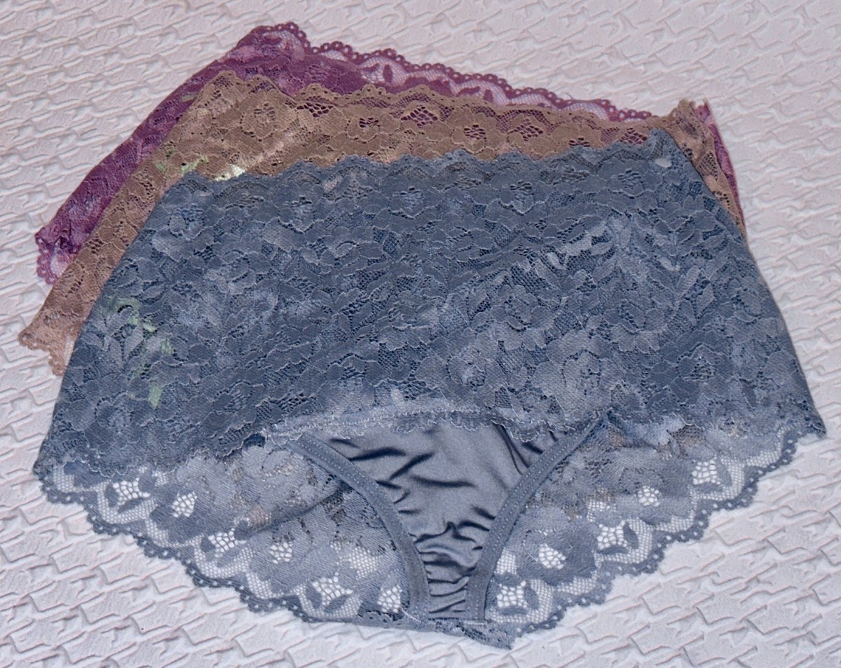 HONEYDEW INTIMATES 3 Pk Scalloped Lace Mauve Taupe Blue Brief