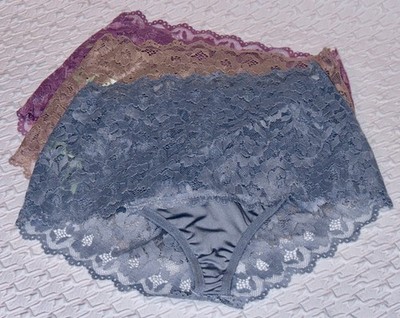 HONEYDEW INTIMATES 3 Pk Scalloped Lace Mauve Taupe Blue Brief