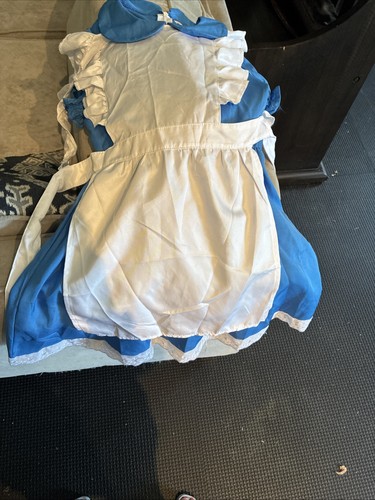 Girls Alice And Wonderland Alice Costume 7-8