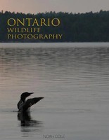 Ontario Wildlife Photography | Noah Cole | Englisch | Buch | Gebunden | 2022