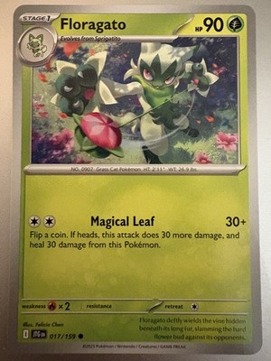 017/159 Floragato | Common |  Journey Together 