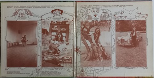 SAVOY BROWN- Looking in /PAS 71042/ Haute PRESS US 1970/ Parrot - Picture 2 of 11
