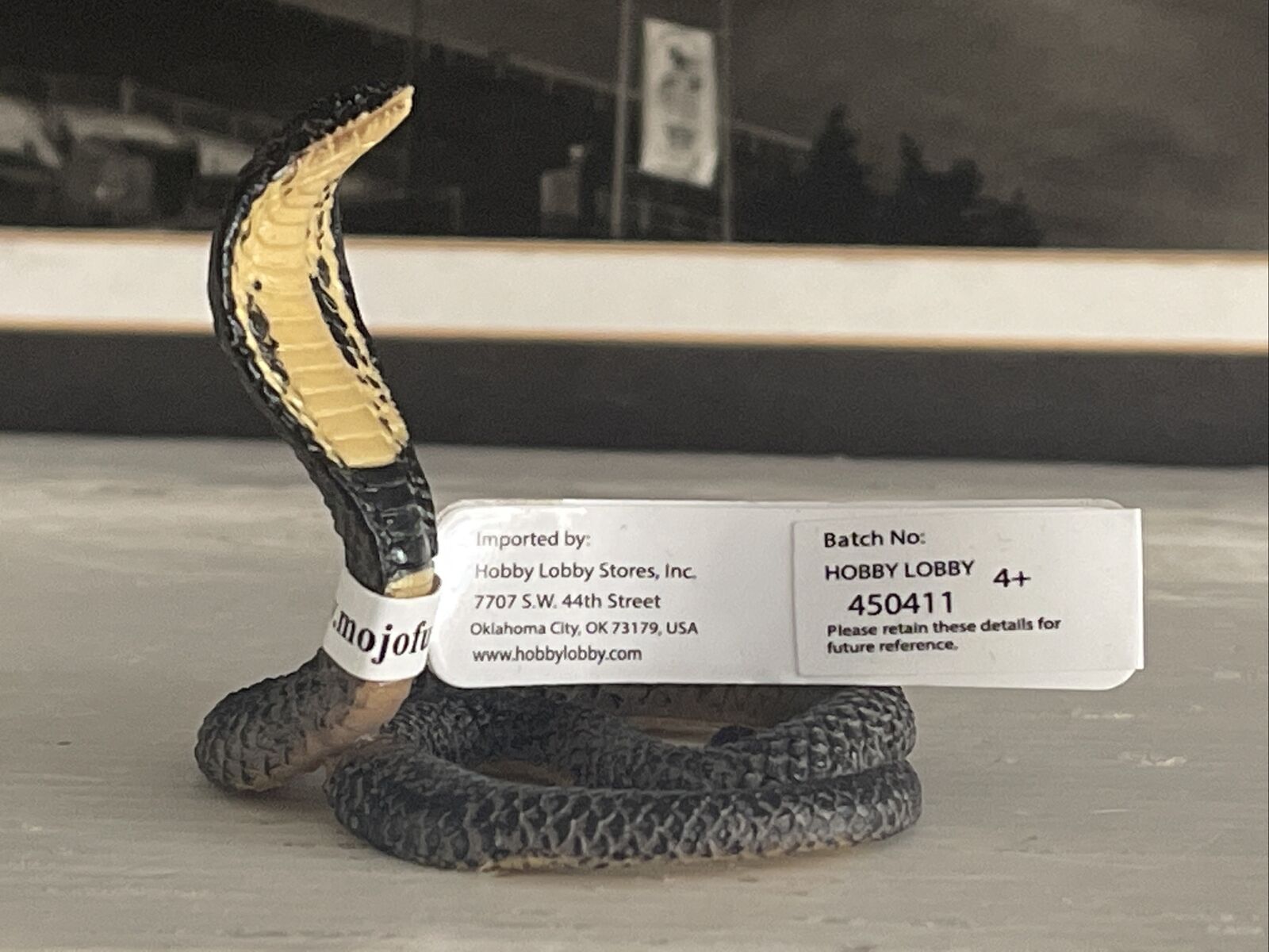 King Cobra Snake, Hobby Lobby