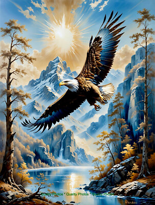 Sacred Bald Eagle Wings Spread Flying 8.5x11'' Photo Print Style Icart/Harker Art