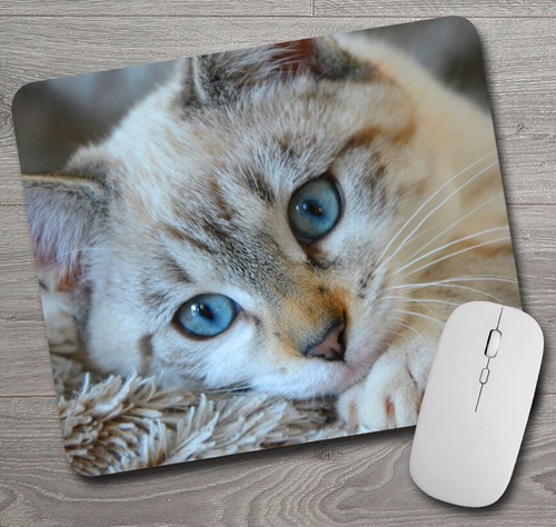 Blue Eyed, White Cat / Kitten ~ Mouse Pad / PC Mousepad ~ Cat Lovers Great Gift! - Picture 2 of 2