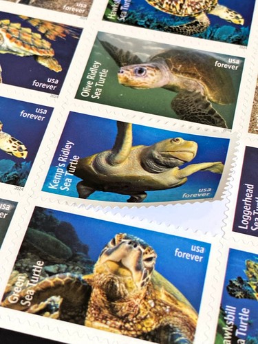 USA 2017 2022 2024 2025 Stamps MNH Forever Whale Sharks Turtles Fishing Sheets - Picture 14 of 19