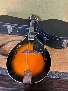 Aria Mandolin | eBay