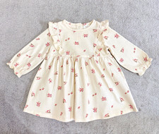 NEXT Baby Girls 3-6 Months Cream Pink Floral Ruffle Long Sleeve A-Line Dress