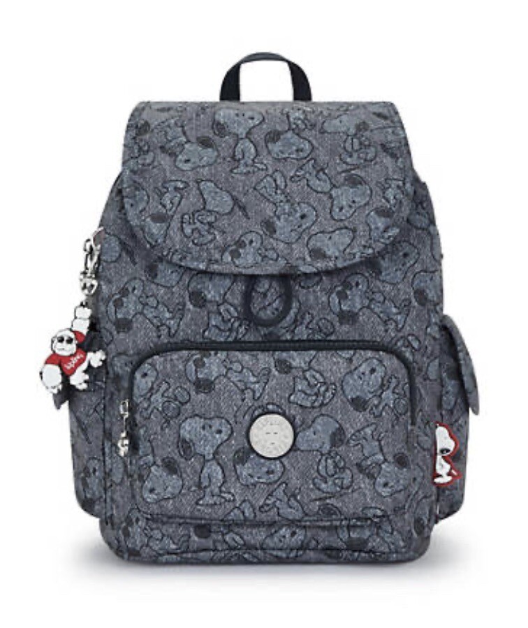【新品】kipling　リュック　ボーダー　タグ付き　虹柄 新品】kipling リュック ボーダー タグ付き 虹柄 レディース