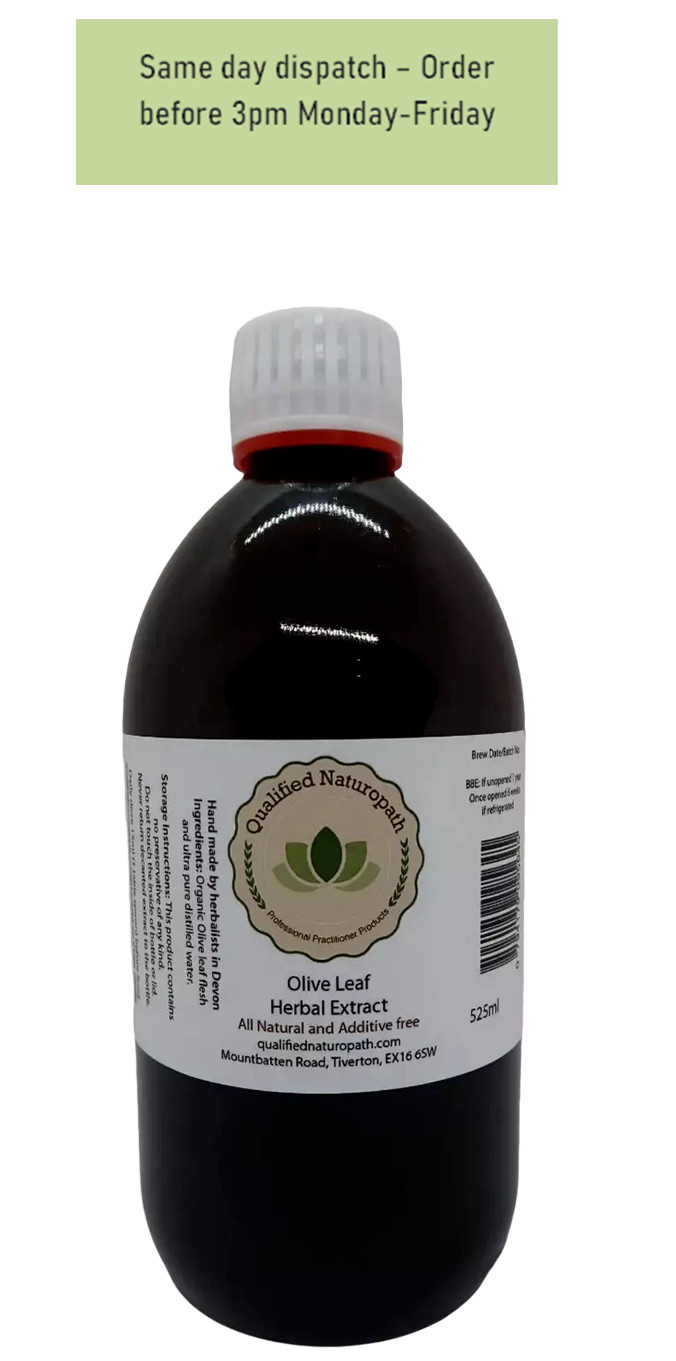 Olive Leaf Herbal Extract - 525ml -  In Glass UV Resistant Bottle