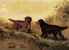 Ｏｉｌ　ｐａｉｎｔｉｎｇ Arthur Fitzwilliam Tait - a close point two dogs & birds in field