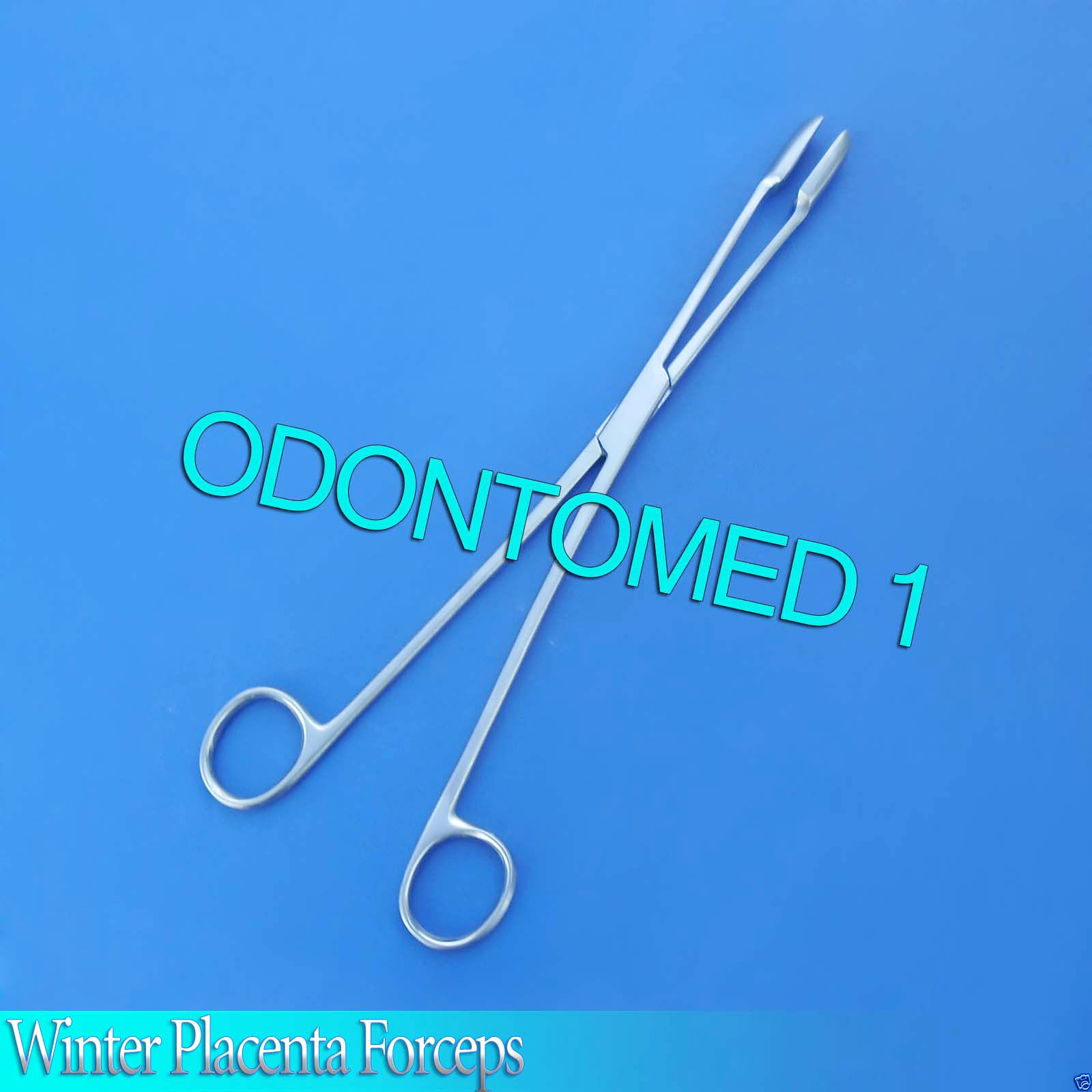12.5" Kelly Placenta Forceps - Curved Serrated Jaws, German Grade Surgical Tool