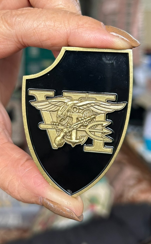 USN SEAL Team 6 DEVGRU Gold Squadron Challenge Coin ZZ | eBay