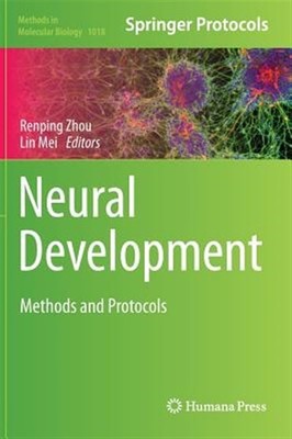 Neural Development : Methods and Protocols, Hardcover by Zhou, Renping (EDT);...