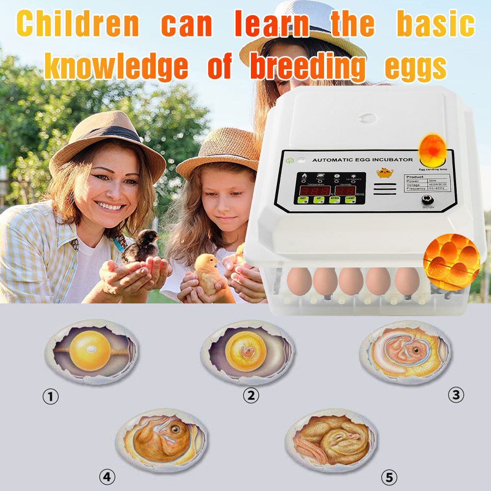 16 Egg Incubator Automatic Turner Hatcher Temperature Control LED Light Alarm