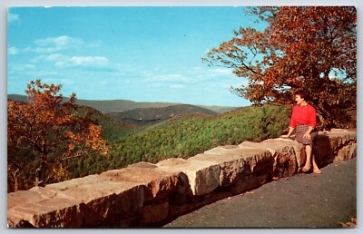 Postcard Enjoying Skyline Drive In Shenandoah National Park Virginia Unposted