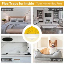 20-Pack 7" Refill Sticky Glue Boards for Indoor Insect Trap and Bug Control