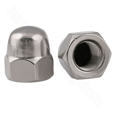 304 Stainless Steel Dome Acorn Cap Nuts Fine Thread M8 M10 M12 M14 M16 M Ebay
