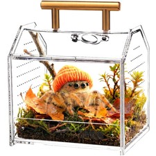 Jumping Spider Enclosure - Acrylic Terrarium Habitat for Spiders, transparent