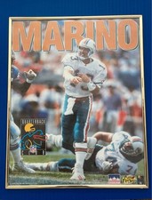Dan Marino Print