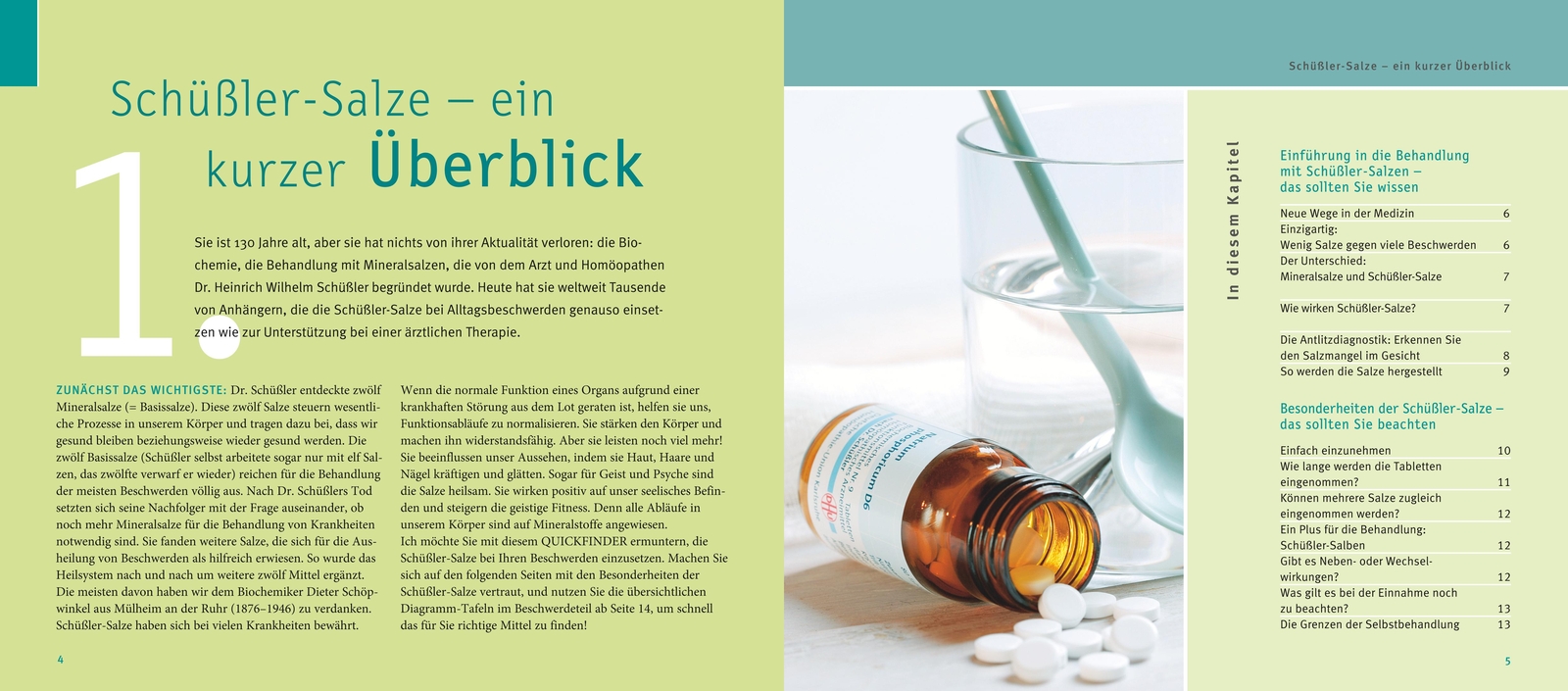 Thumbnail - Schüßler-salze, Quickfinder, Günther H. Heepen