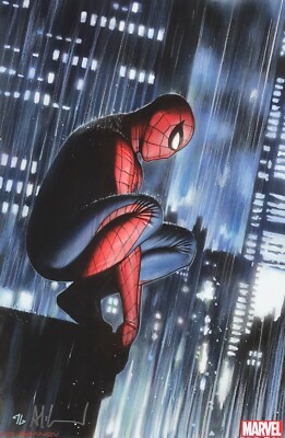 Adi Granov Illustration 1　アディ・グラノフ　直筆サイン ADI GRANOV rare SPIDER-MAN print ROOFTOP A3 SIGNED limited LAST