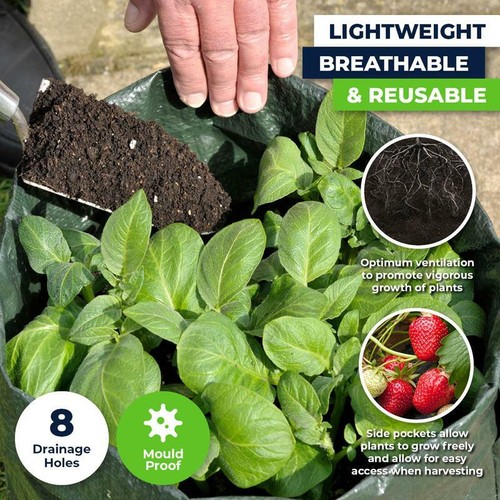 Garden Greens 2Pk Planter Bag Mould Proof UV Resistant Collapsible 8 Pockets - Picture 3 of 12