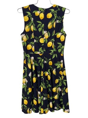 navy blue lemon dress Chetta B Lemon Dress Size 4 Fit and Flare A Line Navy Floral Sundress Boho
