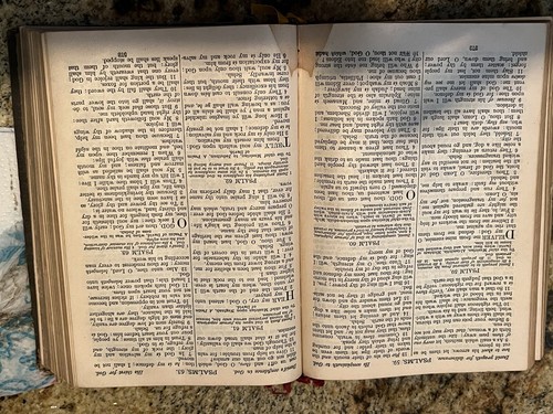 Heilige Bibel, American Bible Society, 1916, Stoff Hardcover, kompakt - Bild 7 von 8