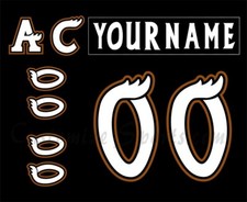 Manitoba Moose Customized Number Kit For 2004-2007 3rd Uniform