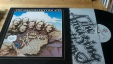 THE AMAZING RHYTHM ACES 1980 LP how do you spell vg 
